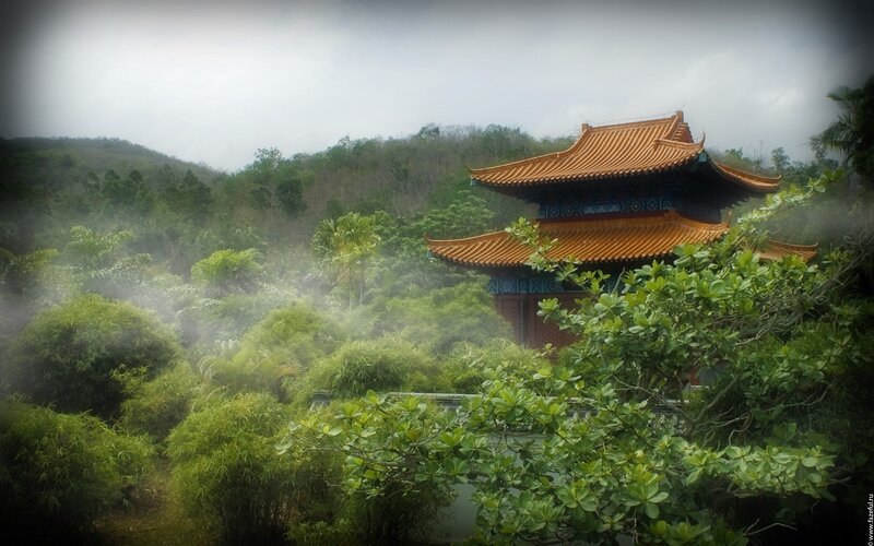 Traditional Temple in Forest — Green, Serene