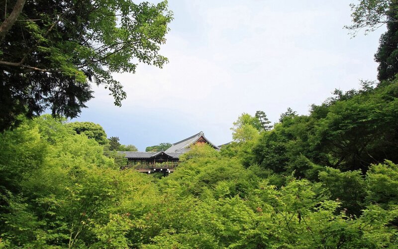traditional temple in forest
