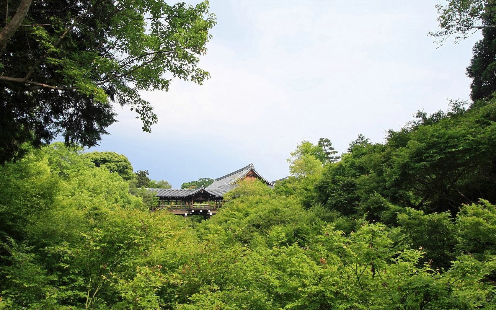 traditional temple in forest