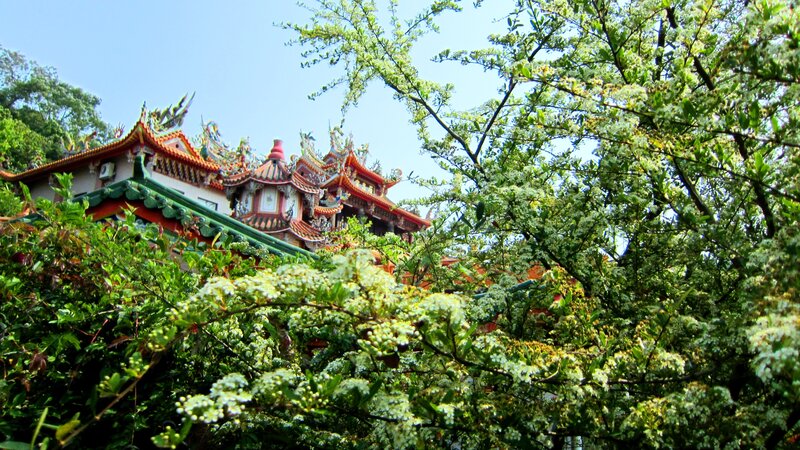 Traditional Temple Roof