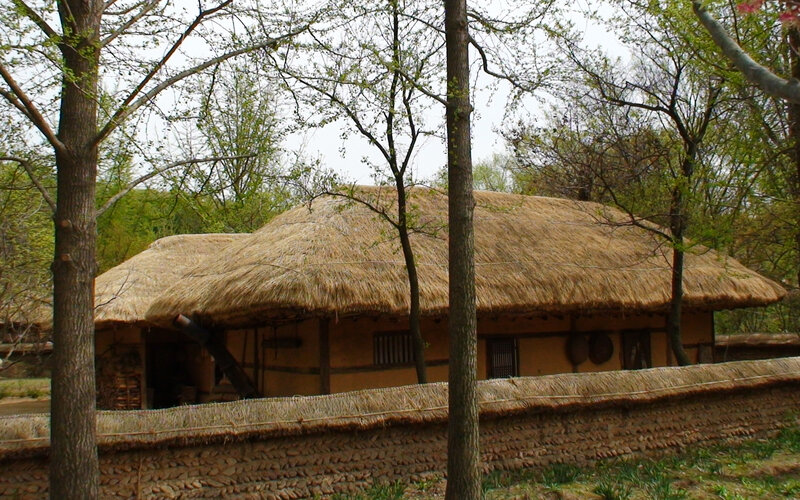 Traditional thatched-roof house