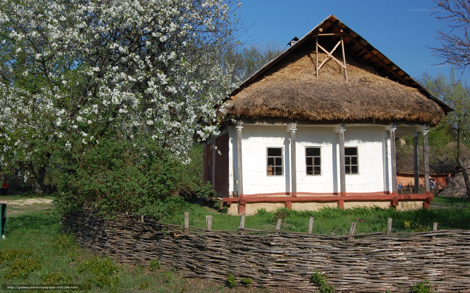 Traditional thatched-roof house