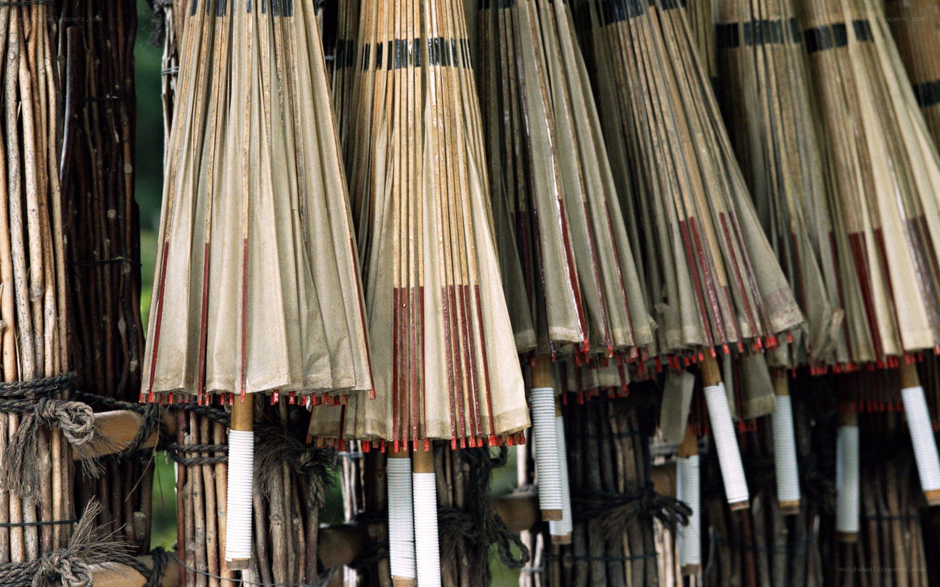 Traditional umbrellas for sale