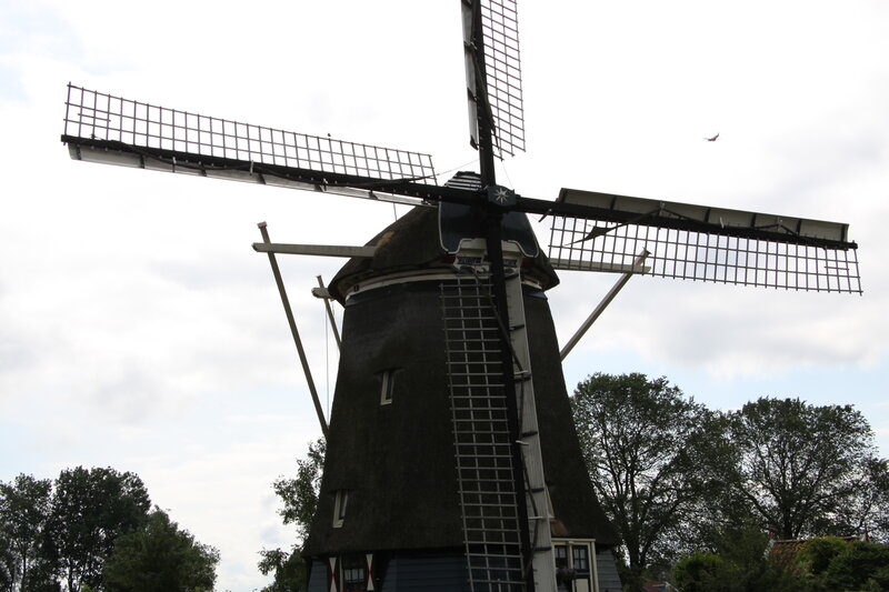 Traditional Windmill