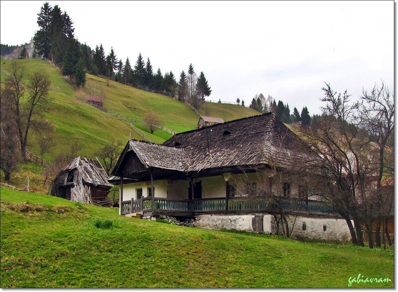 Traditional Wooden House — Green, Serene