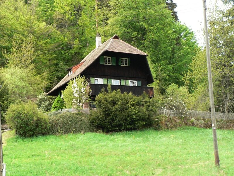 Traditional wooden house in forest