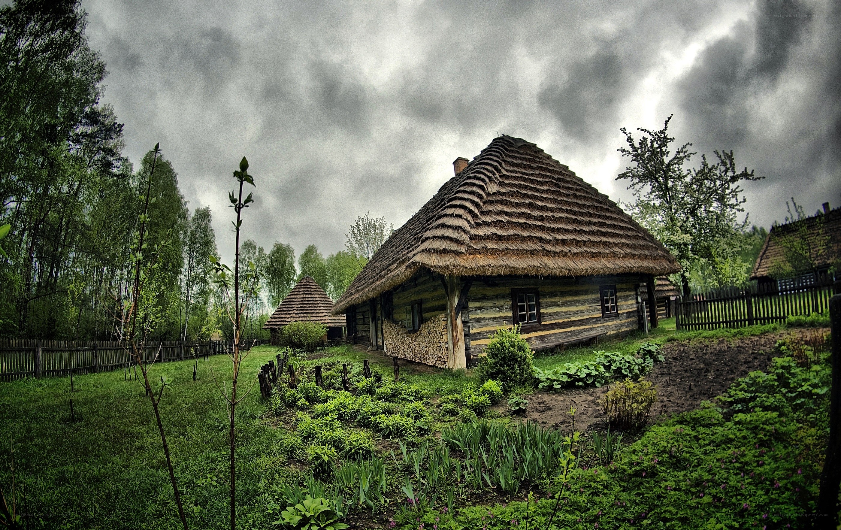 Traditional wooden house with thatched roof