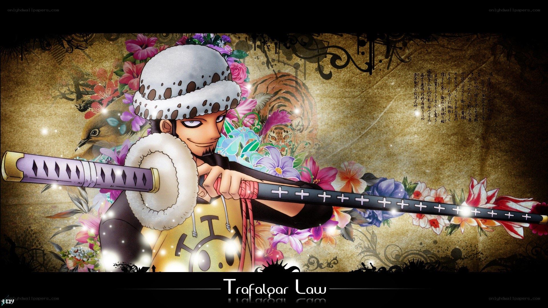 Trafalgar Law with sword