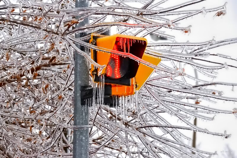 Traffic Light in Ice