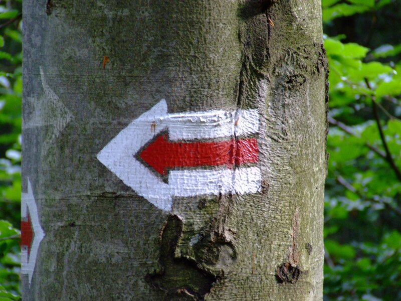 trail marker on tree