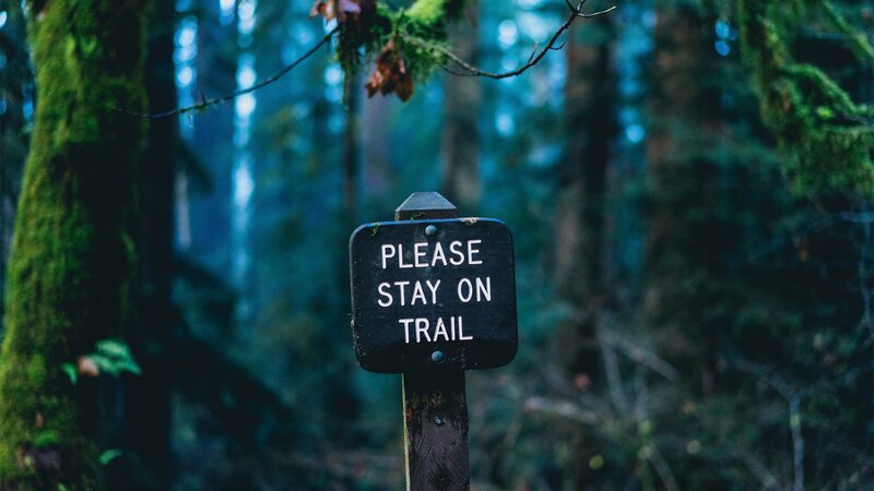 Trail Sign in Forest — Green