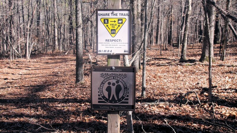 Trail Sign in Forest