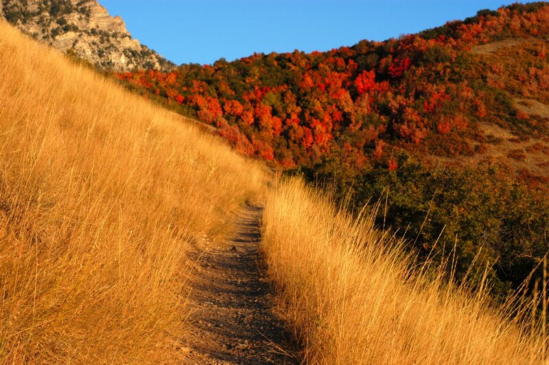 Trail Through Autumn Hills — Orange, Serene