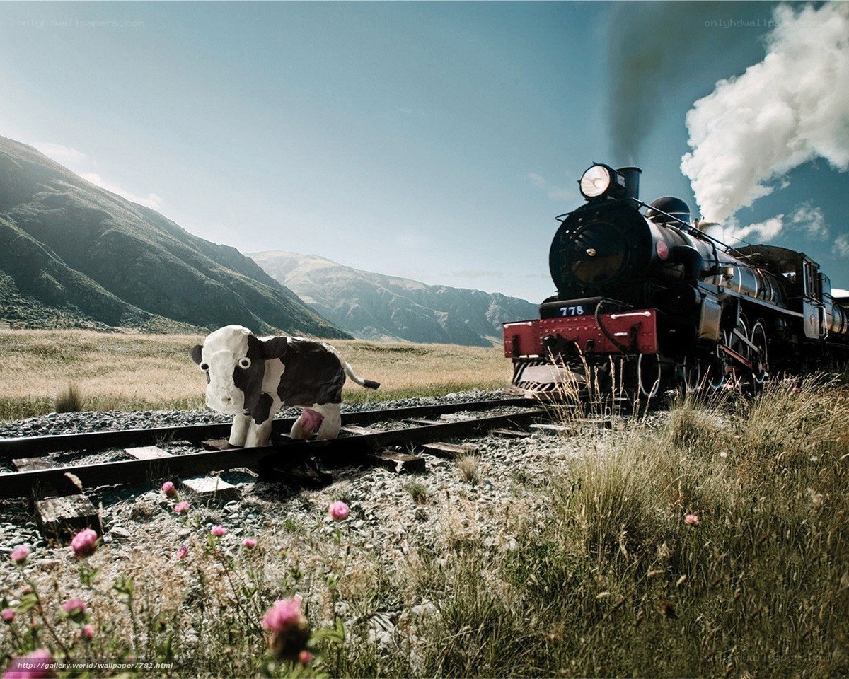 Train and cow on tracks