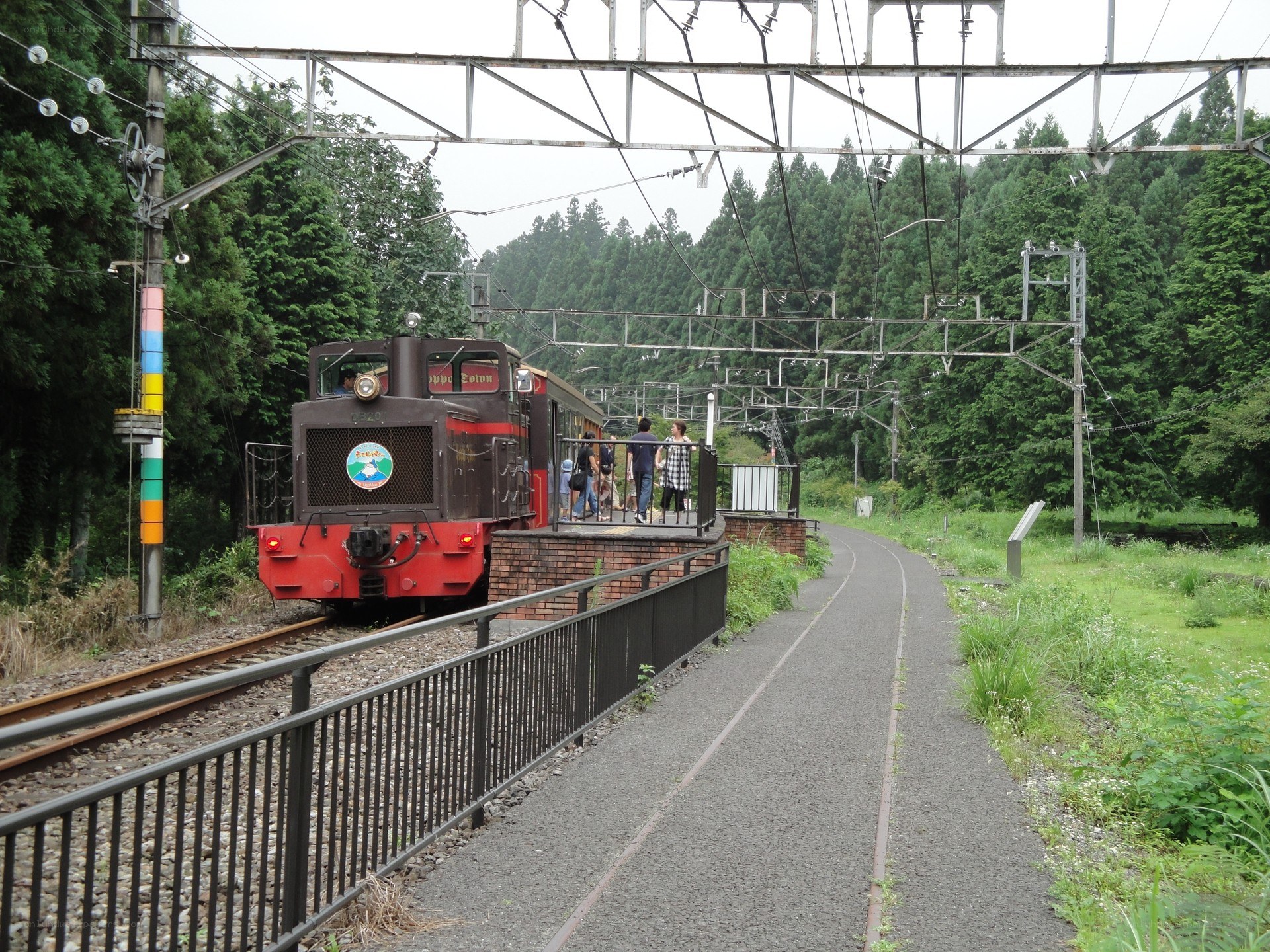 Train at a forested station