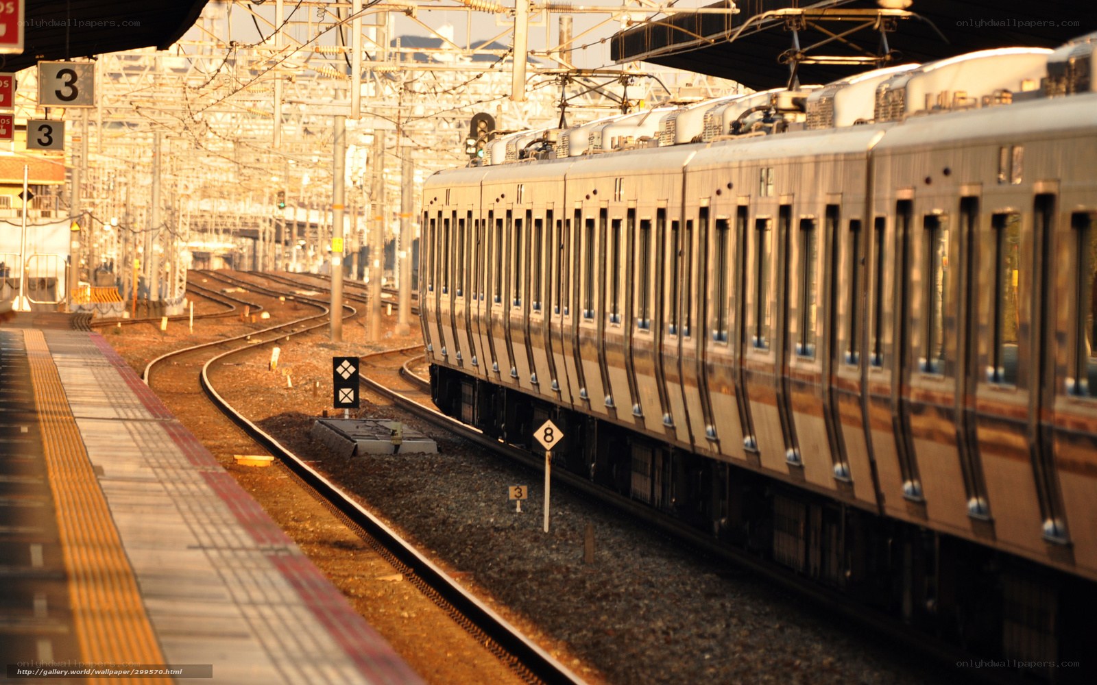 Train at a station in Japan