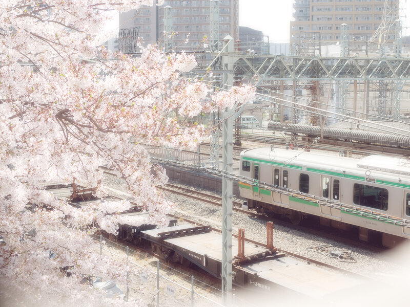 Train at Railway Station