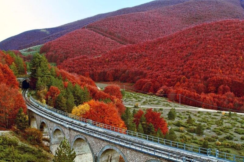 Train Bridge in Autumn