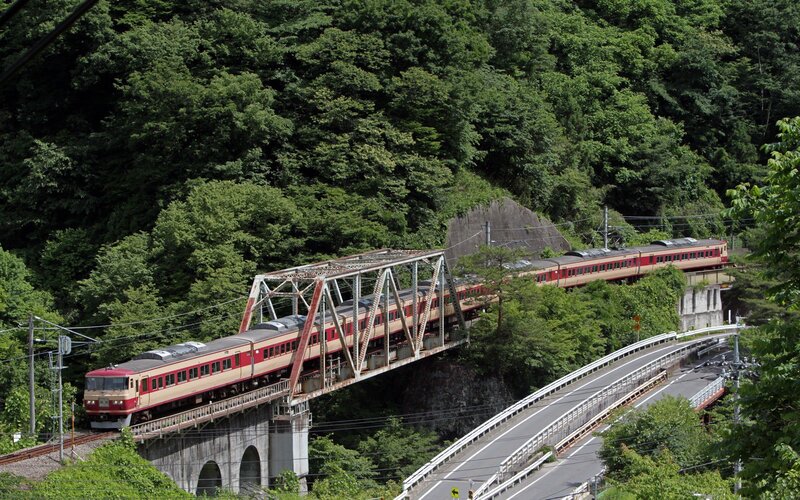 Train crossing a bridge in forest