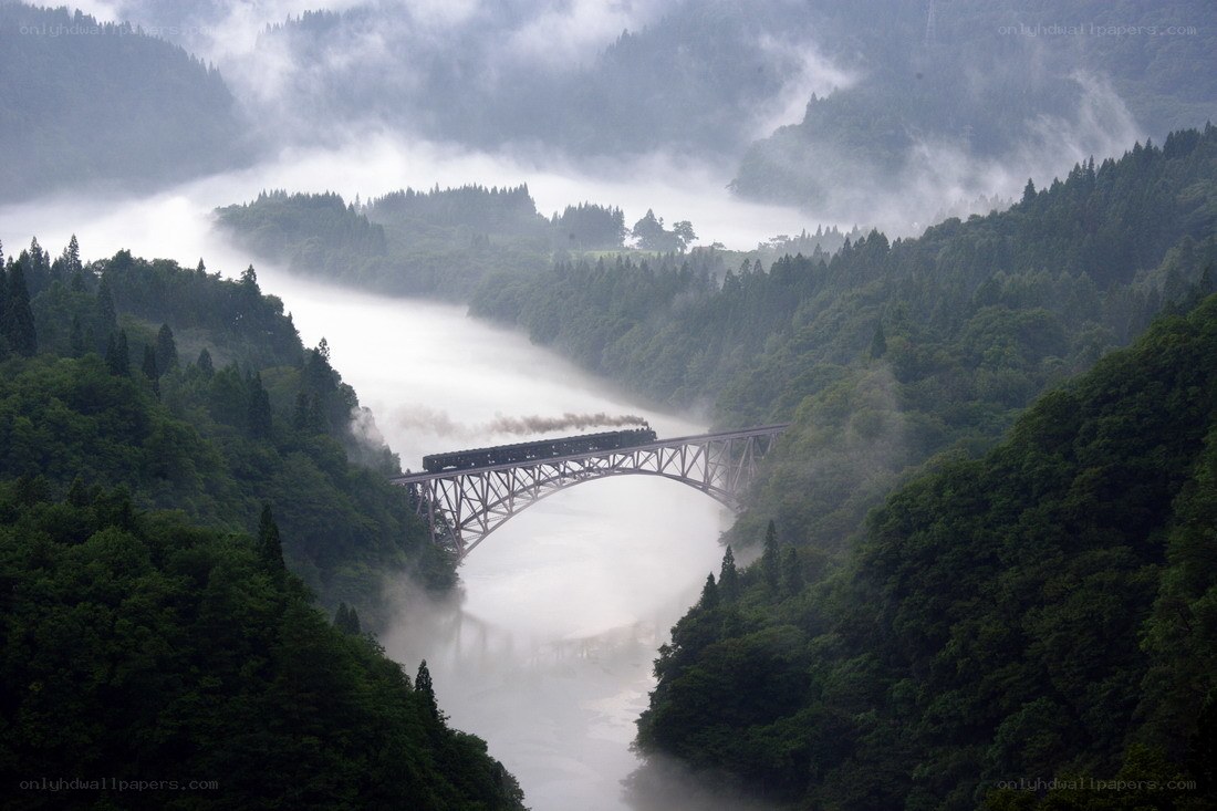 Train crossing a bridge in mist