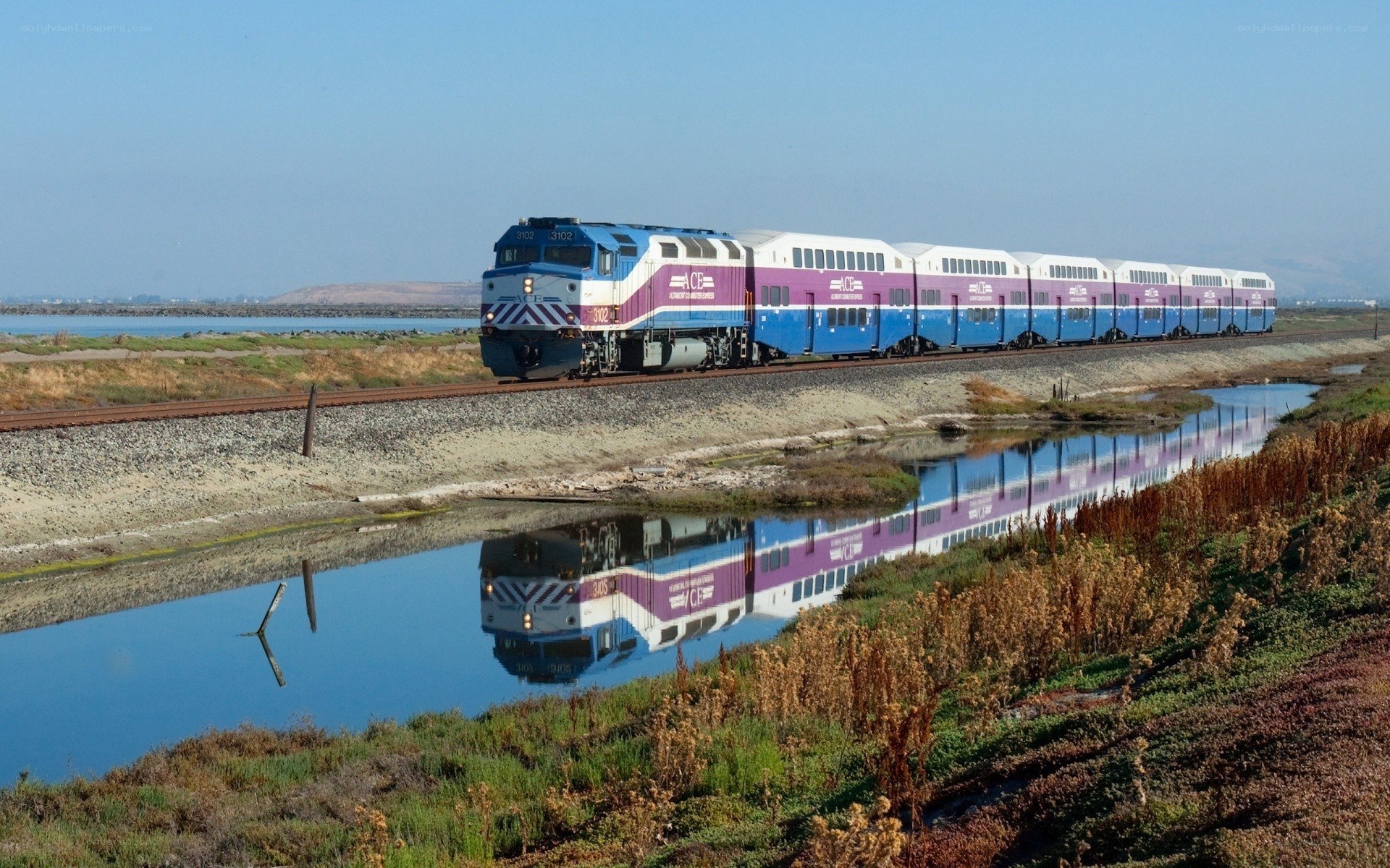 Train crossing a marshland