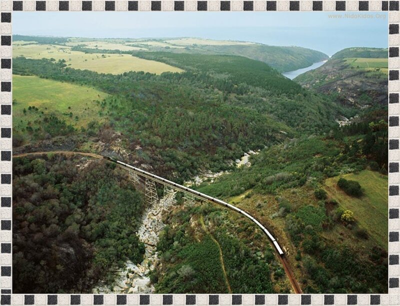 Train crossing a scenic bridge