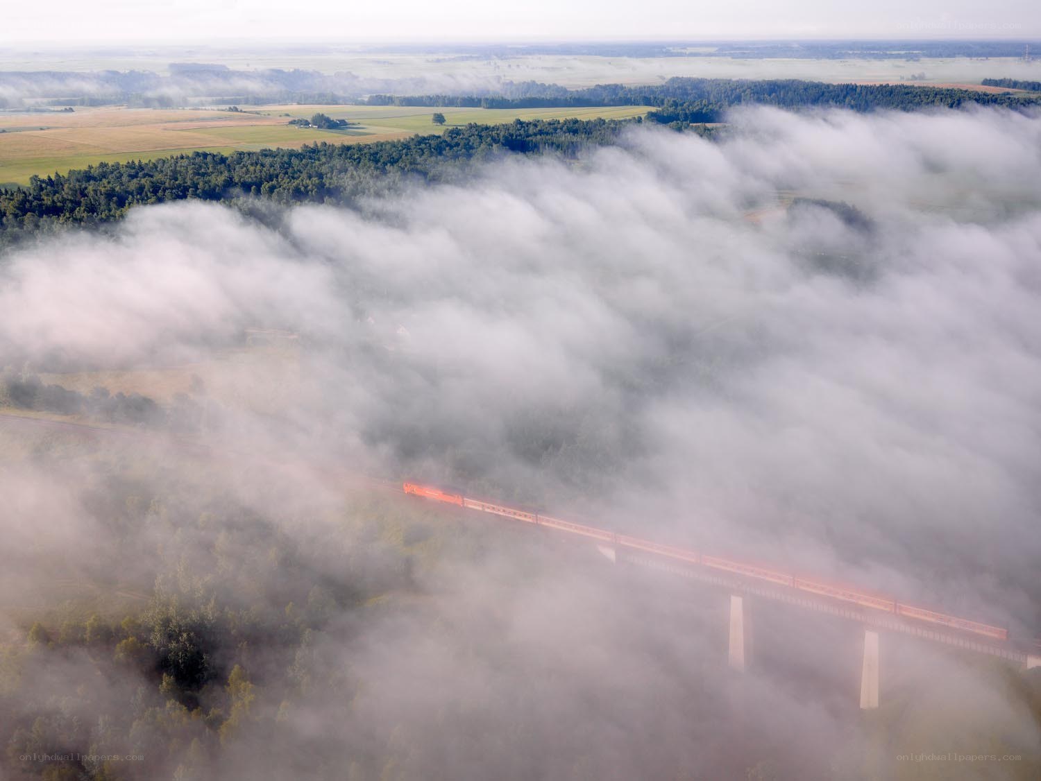 Train crossing bridge in fog
