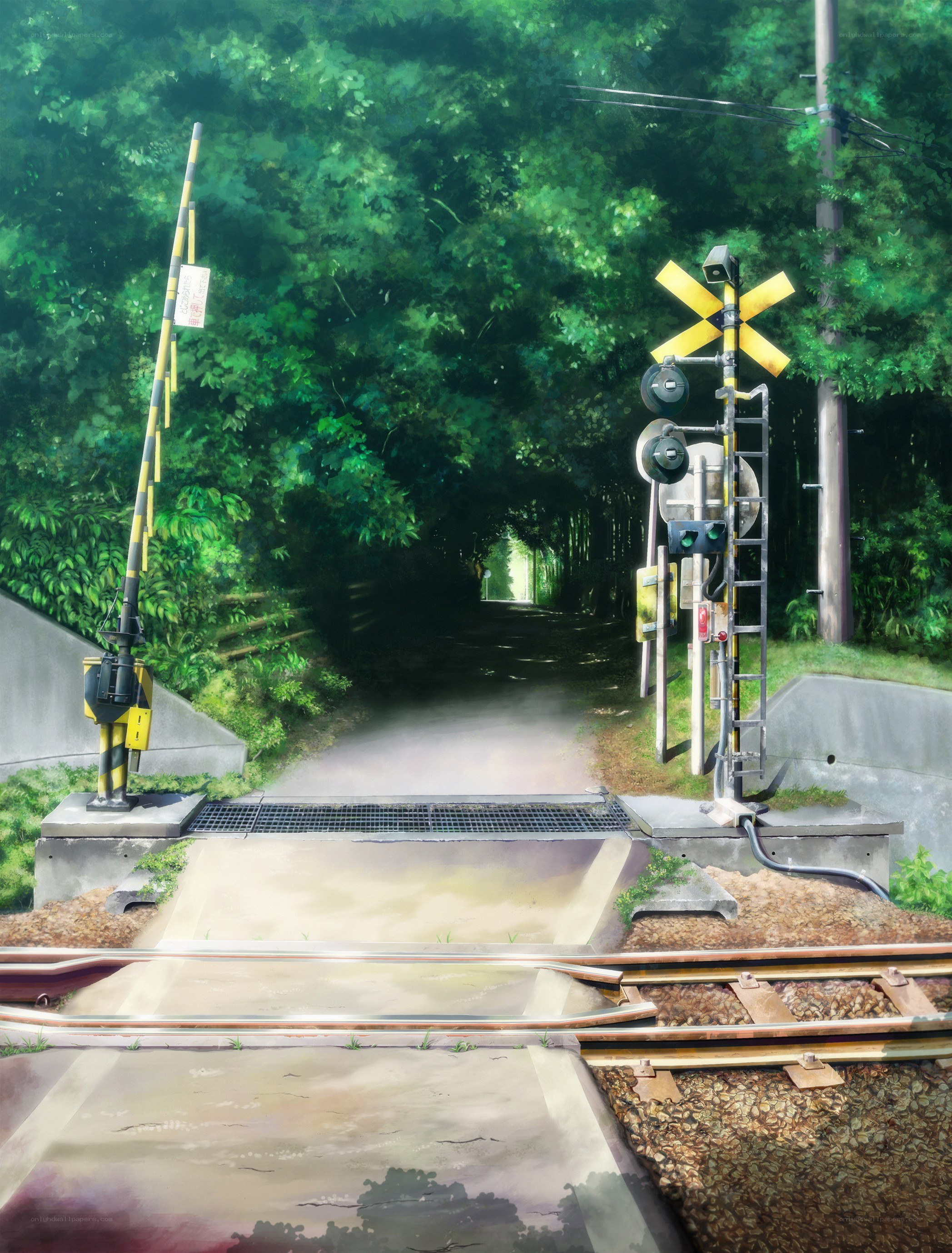 Train crossing in a forest tunnel