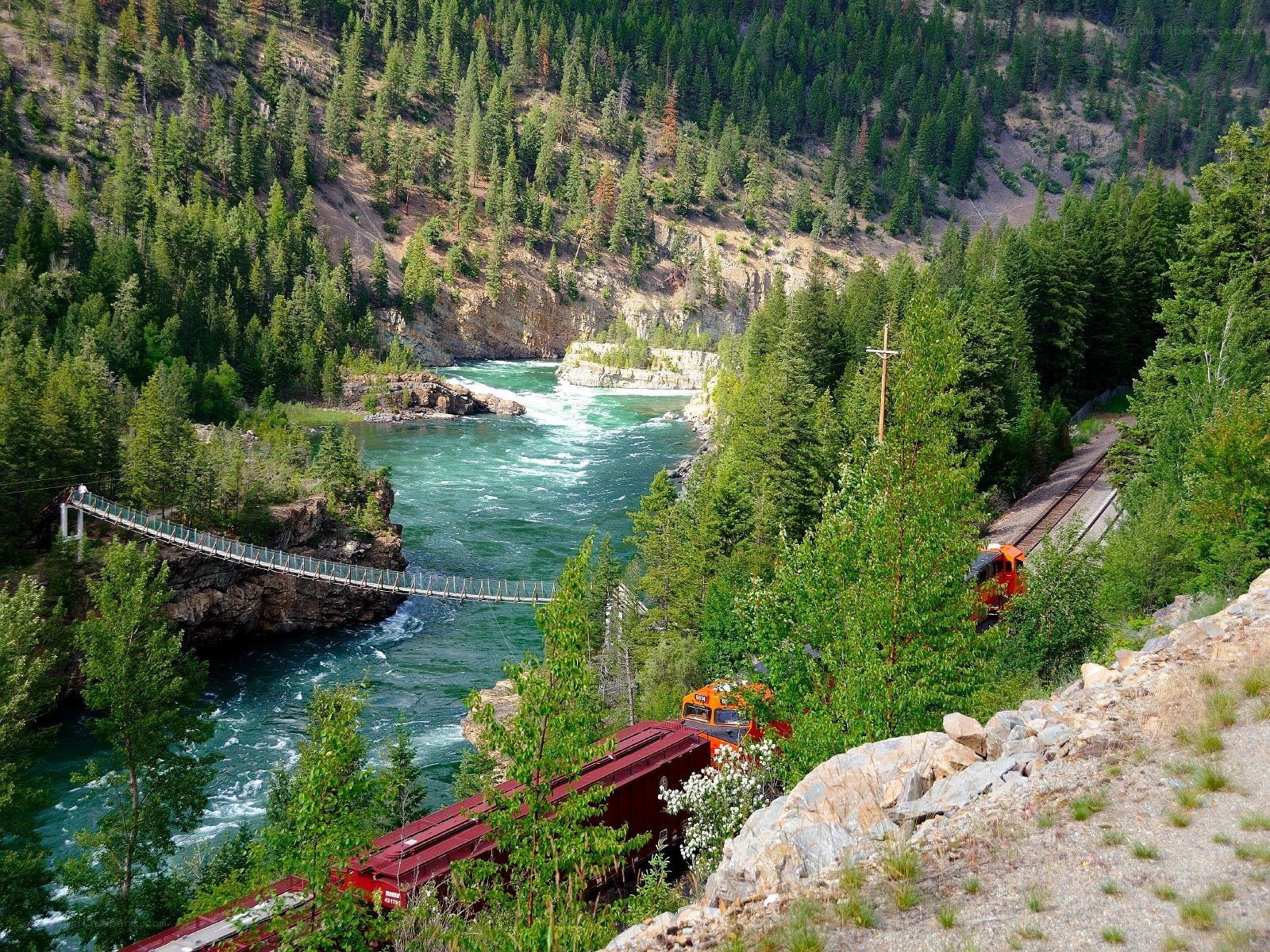 Train crossing river in forested canyon
