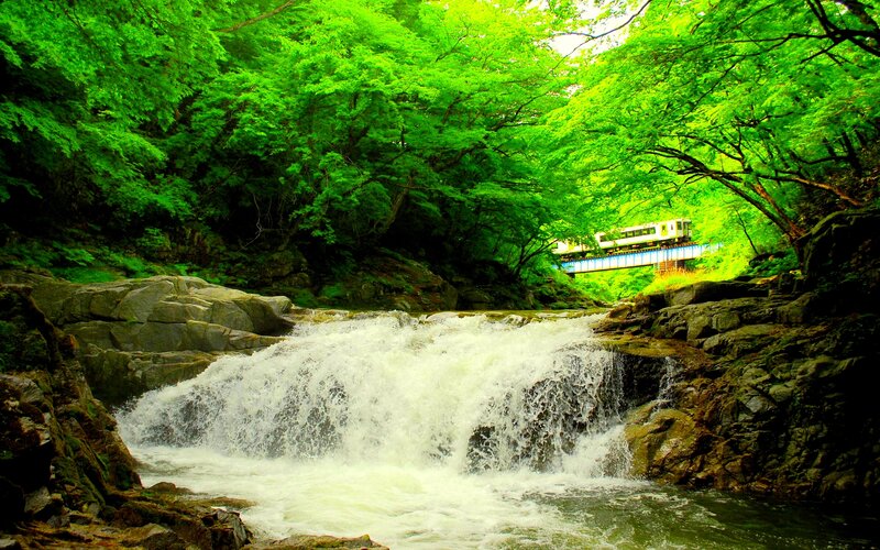 Train Crossing Waterfall — Green