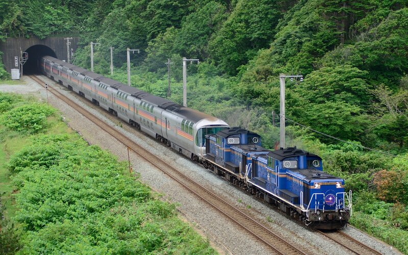 Train exiting tunnel in forest