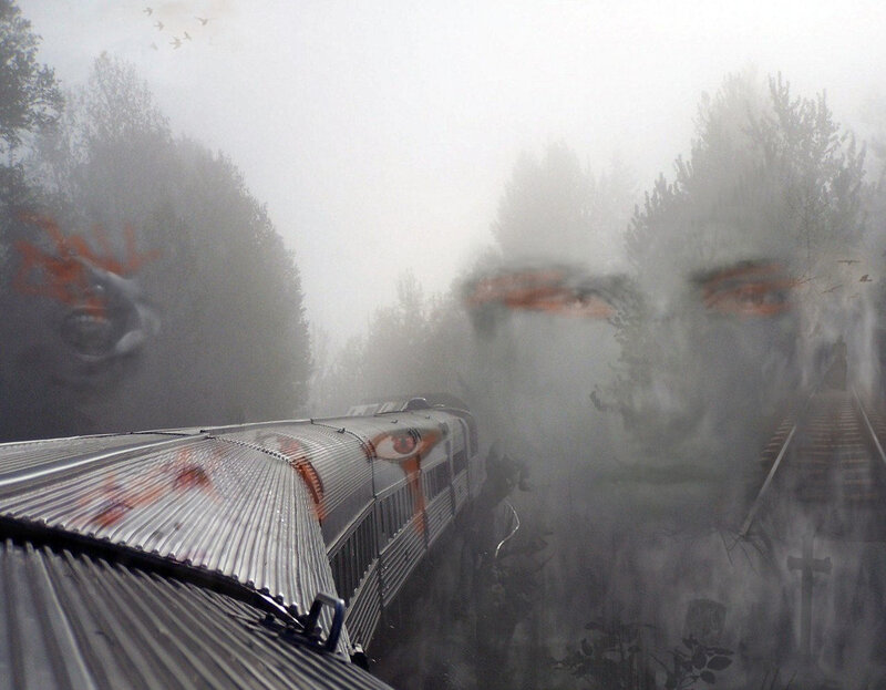 Train in a foggy forest