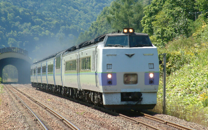 Train in a forested area