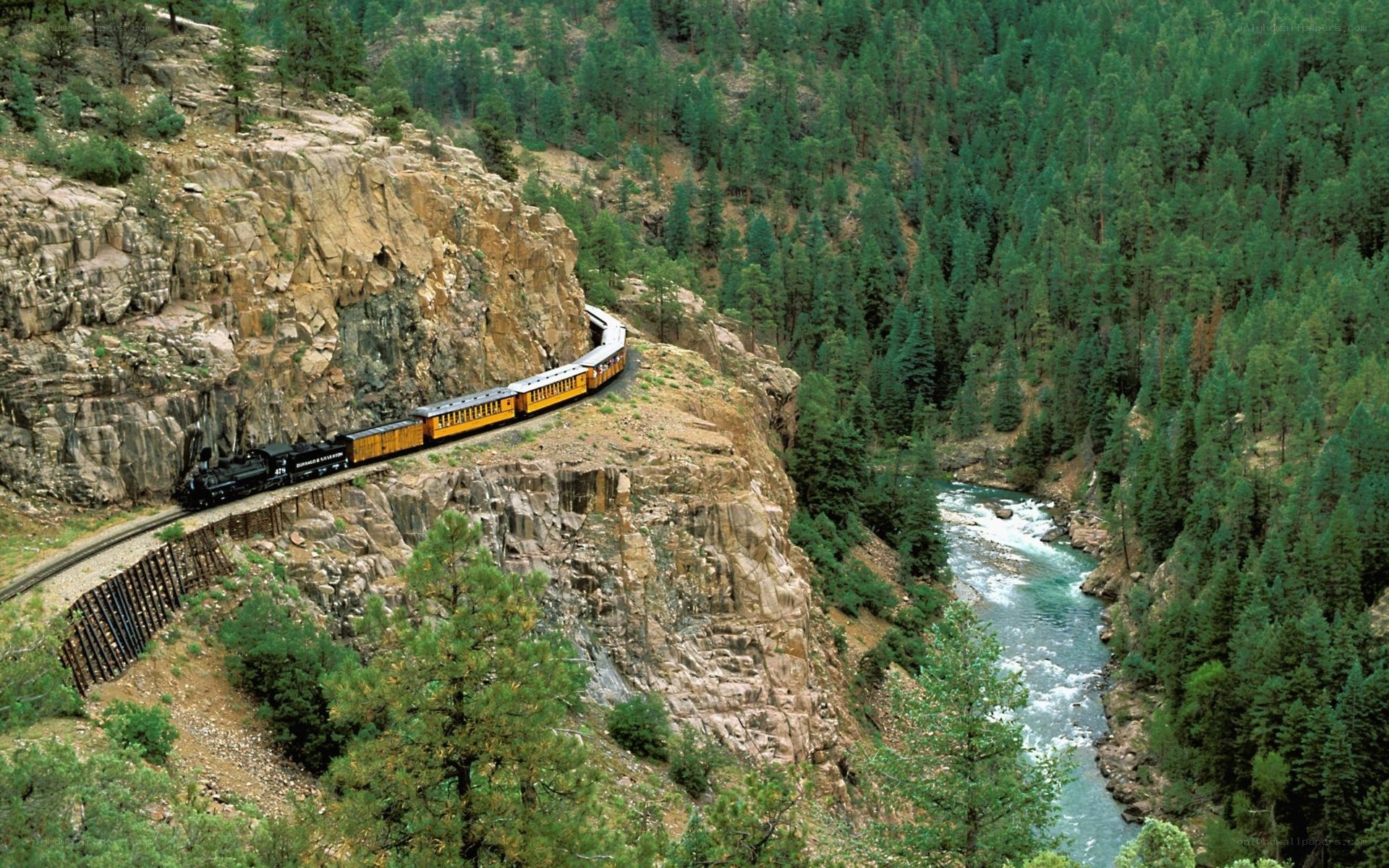 Train in a forested canyon