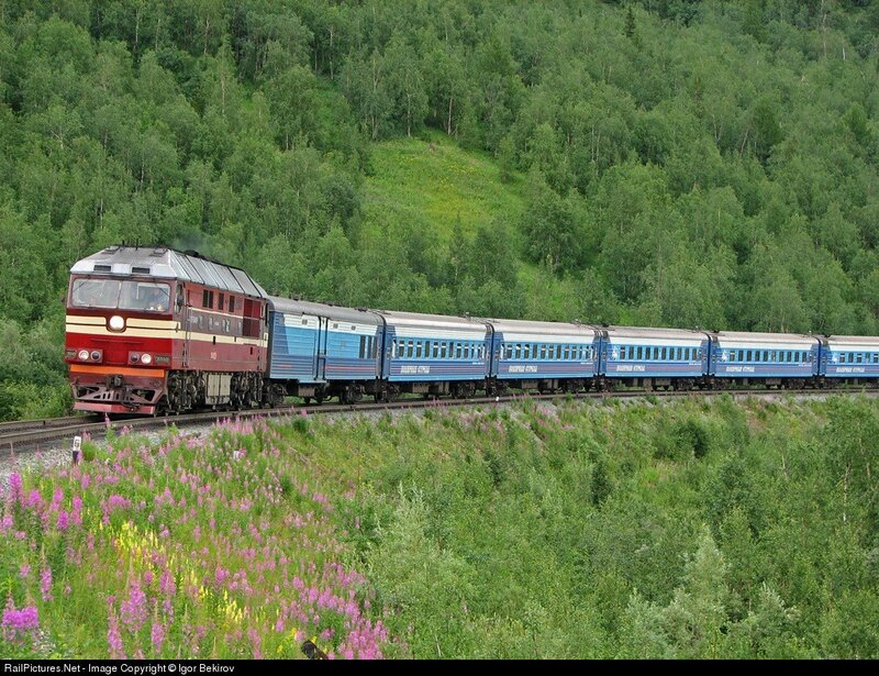 Train in a forested landscape