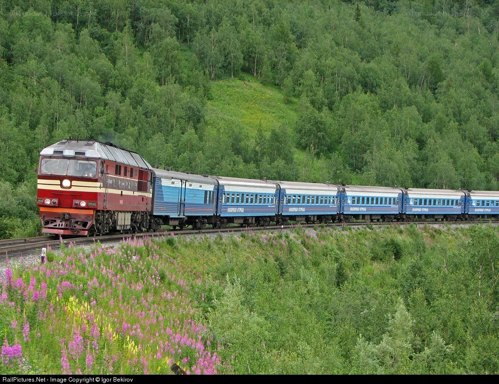 Train in a forested landscape