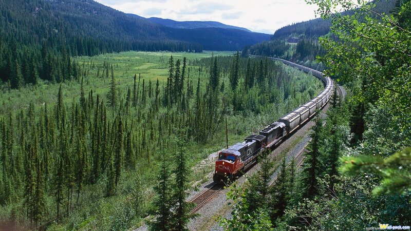 Train in a forested valley