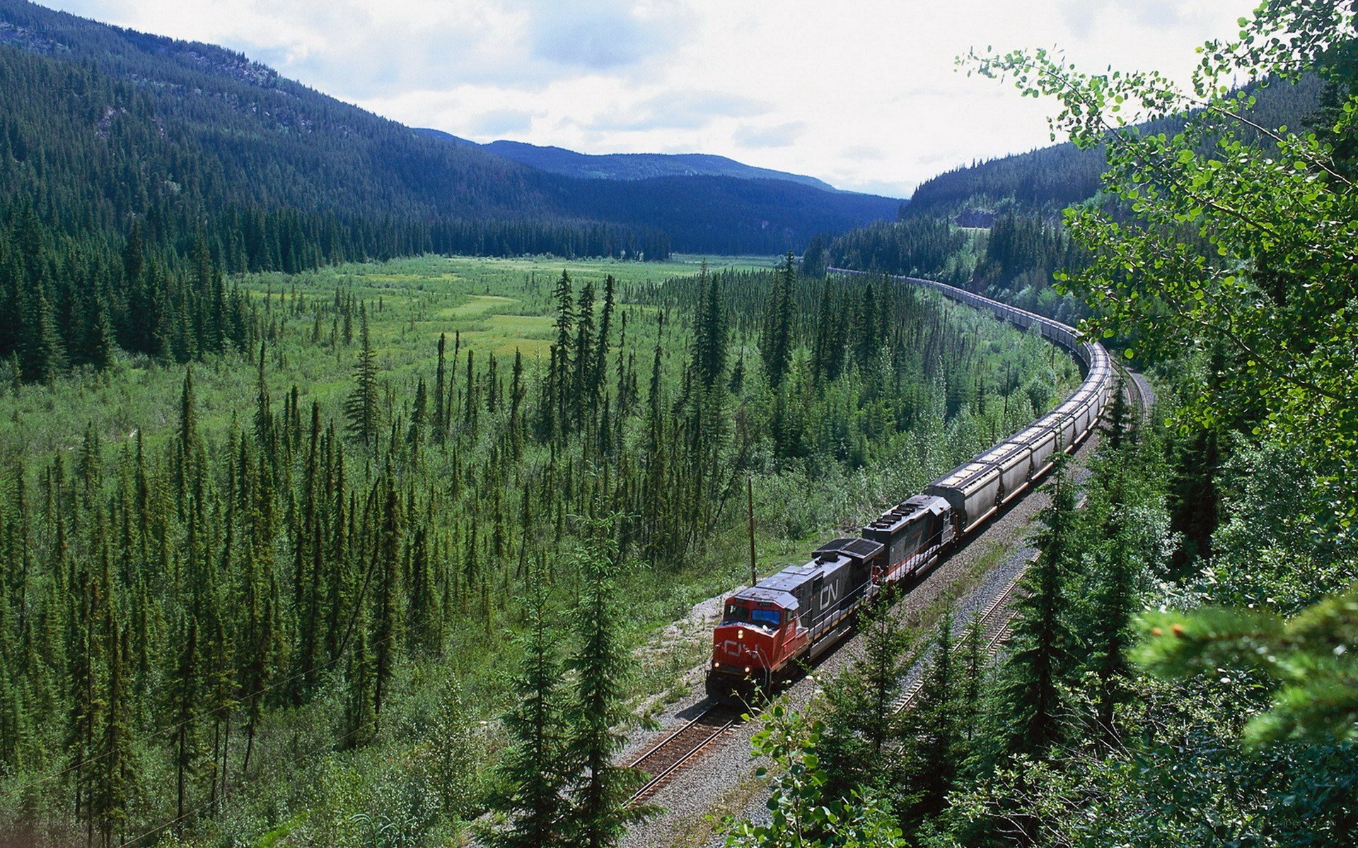Train in a forested valley