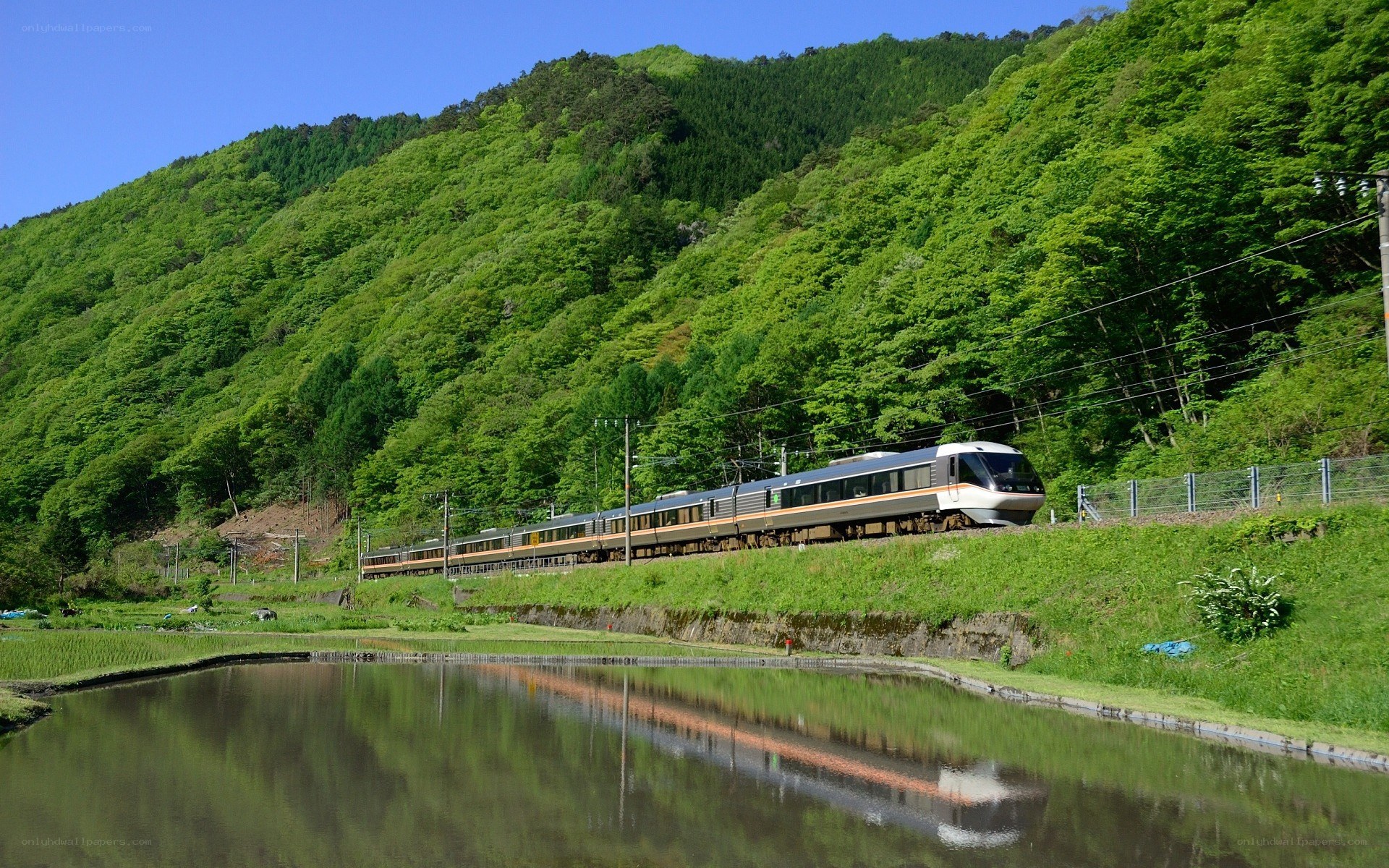 Train in a green valley