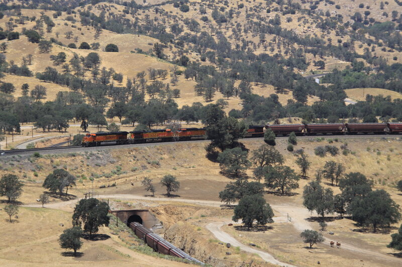 Train in a hilly landscape