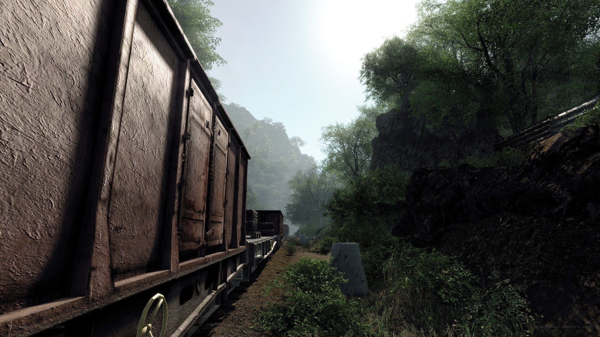 Train in a jungle valley