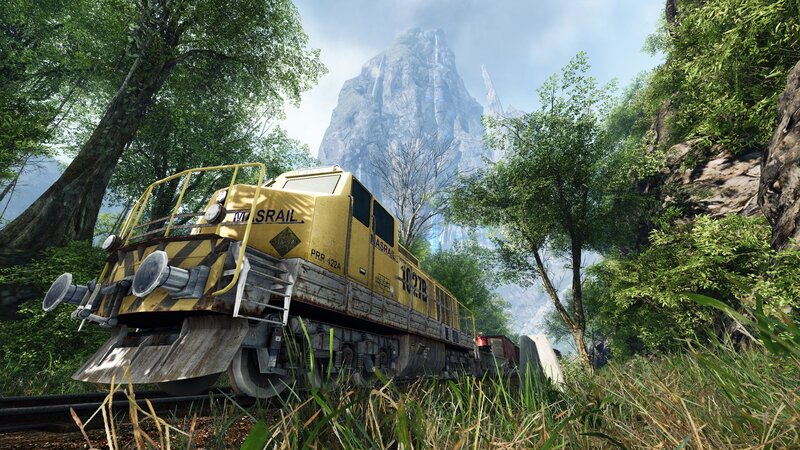 Train in a lush forest