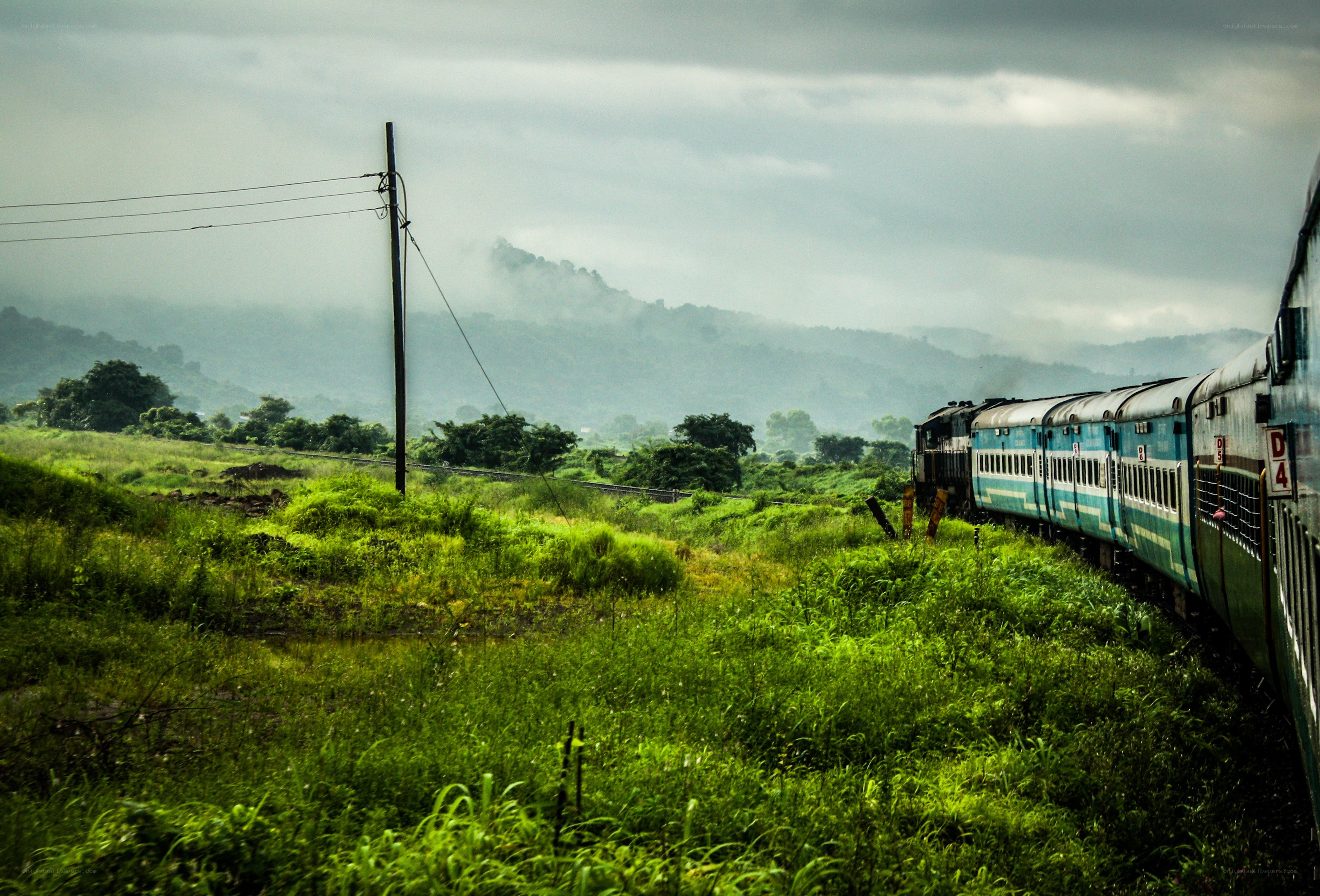 Train in a lush green landscape