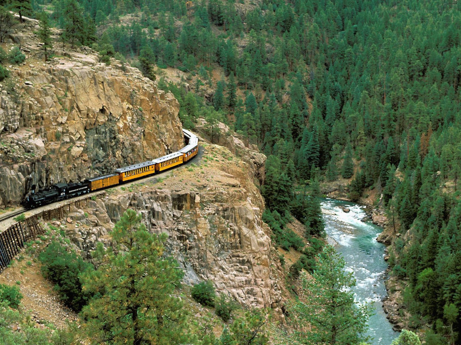 Train in a mountain canyon