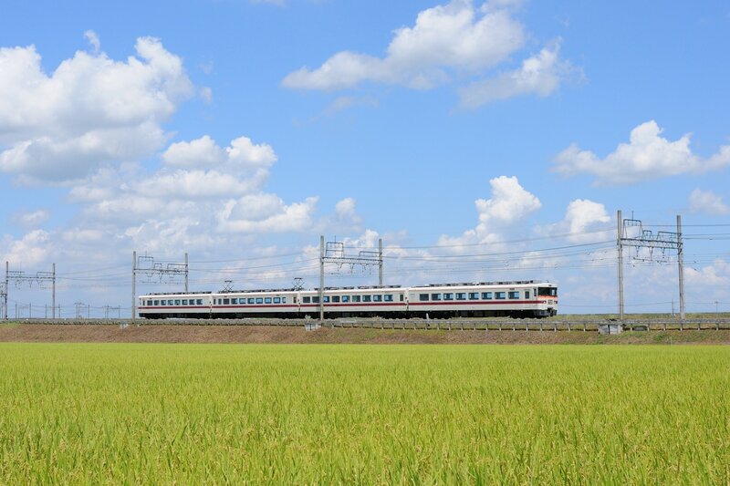 Train in a rice field