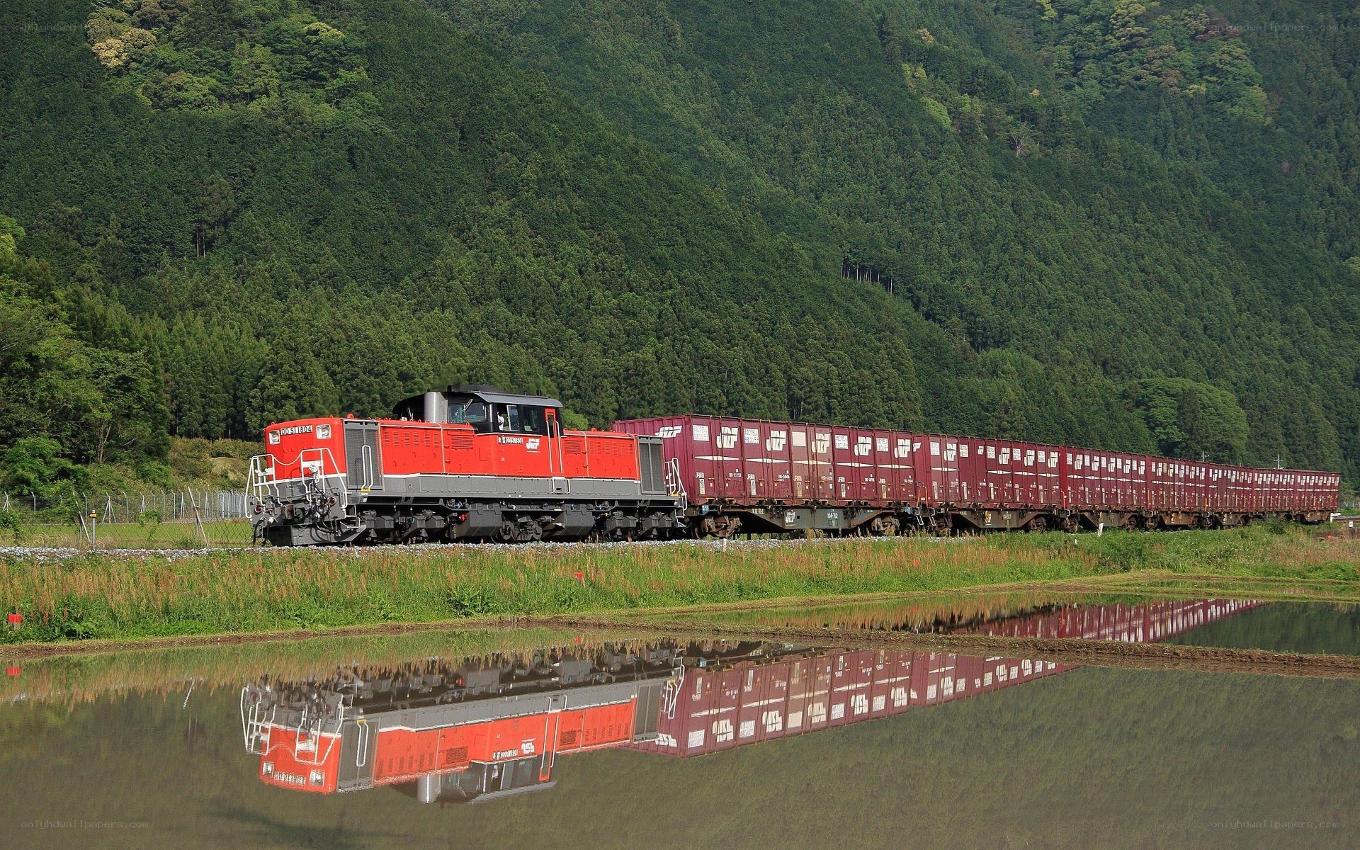 Train in a rural landscape