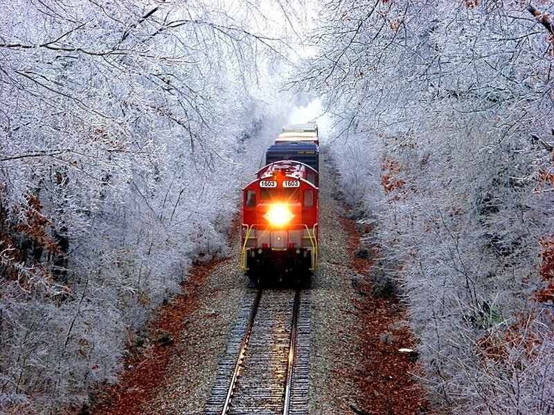 Train in a snowy forest