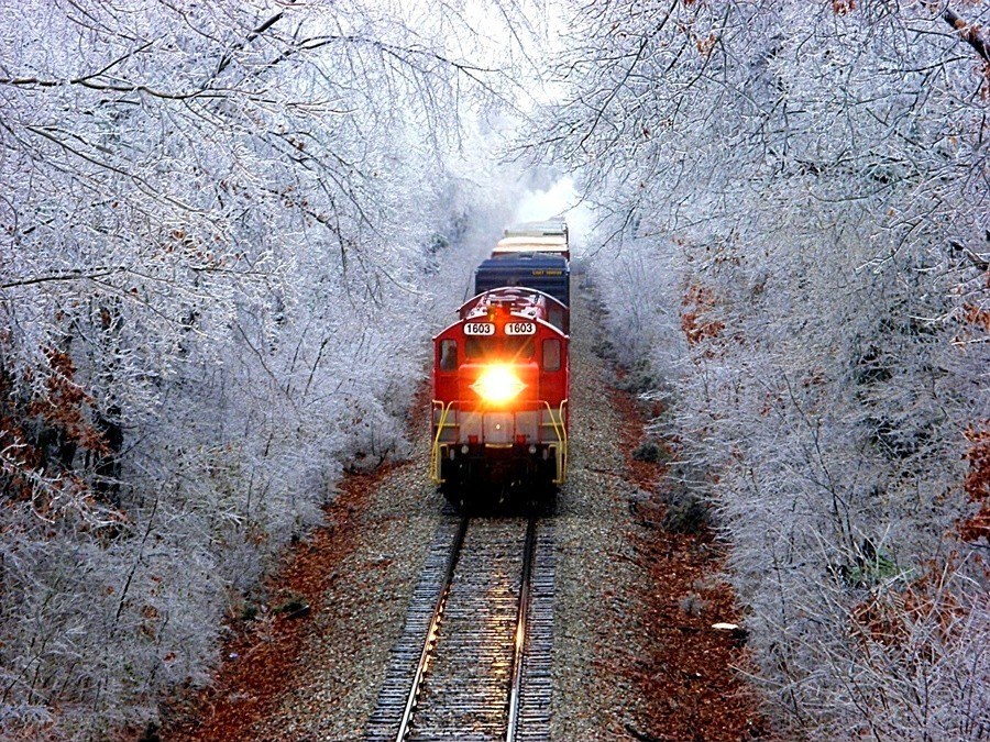 Train in a snowy forest