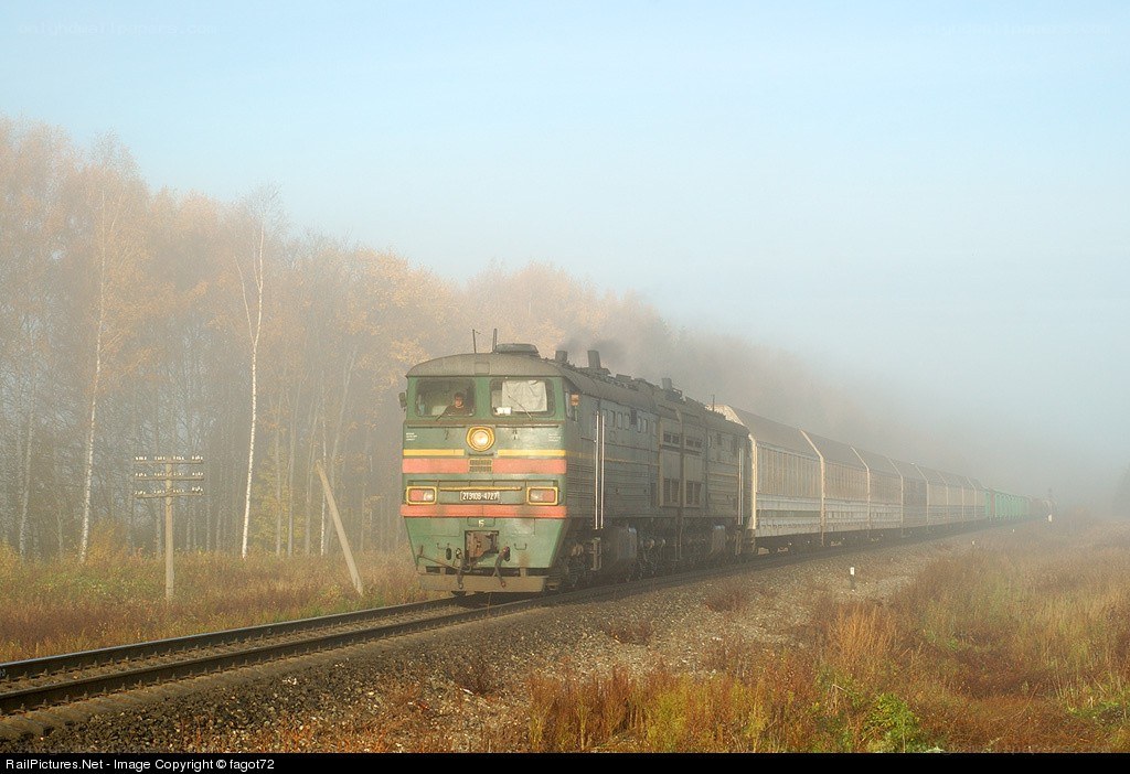 Train in autumn fog