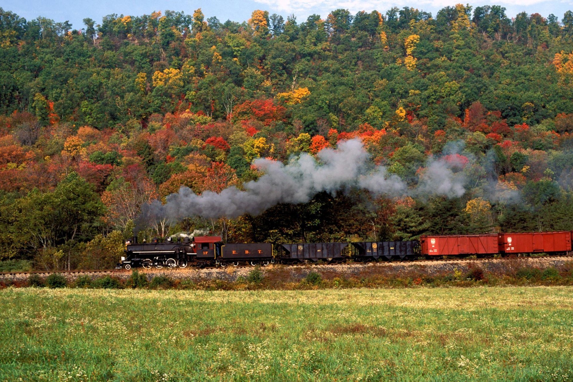 Train in autumn foliage